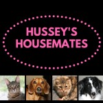 husseyshousemates-1